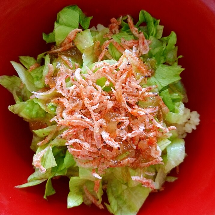 アミエビと玉ねぎドレッシングで作るクスクス丼